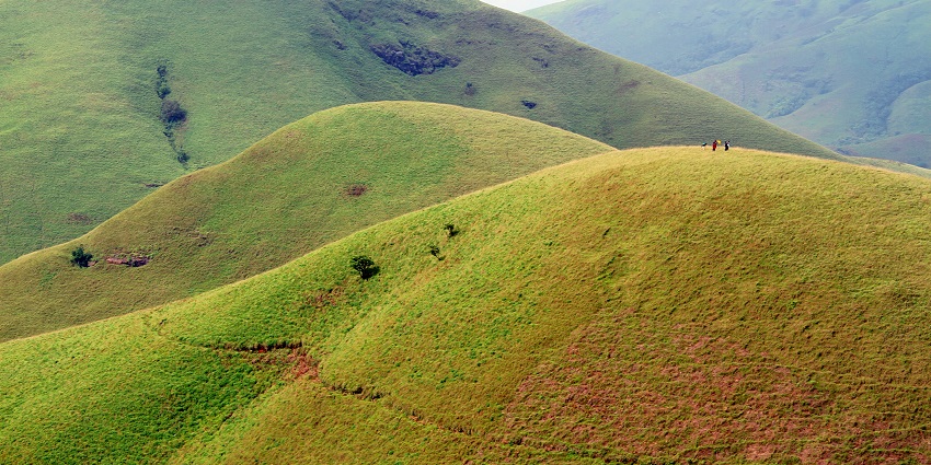 While visiting a national park, pack your bags accordingly.