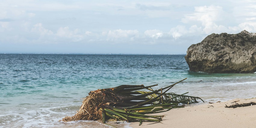 Visitors must consider a few factors while planning their trip for scuba diving in Bali.
