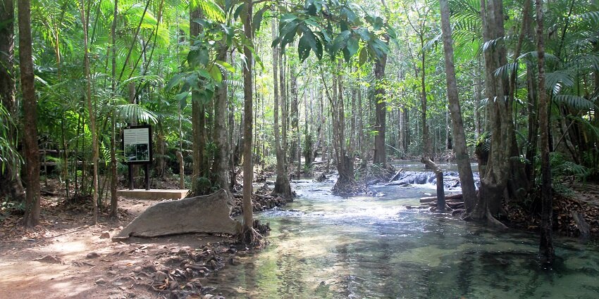The spectacular landscape with the lush green surroundings near the Bhadra Wildlife Sanctuary.