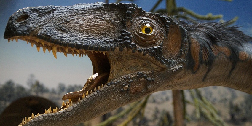 Balasinor Dinosaur museum has many relics and fossils of the dinosaurs.