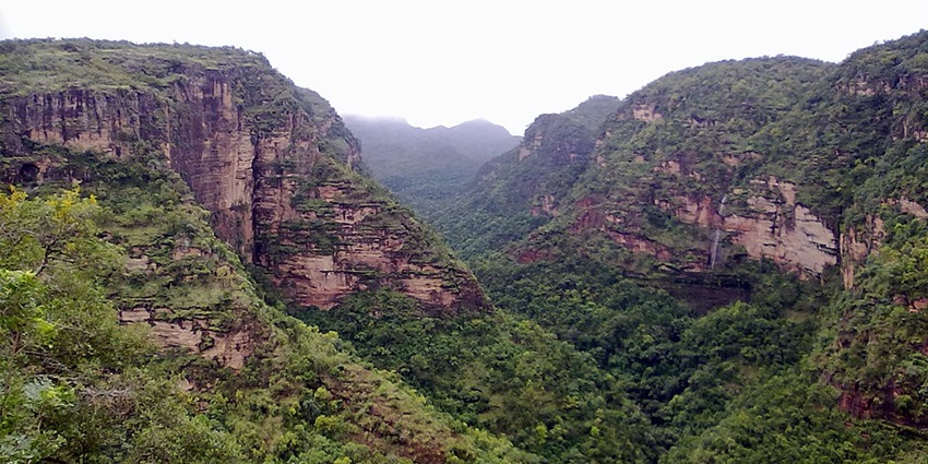 A view of dense forest in Pachmarhi, the Queen of Satpura, and the most amazing place to visit near Madhya Pradesh