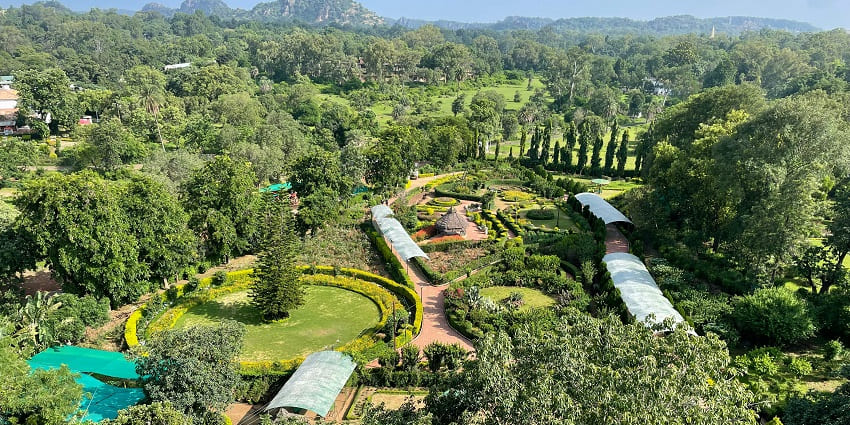 View of Bee Falls in Pachmarhi, surrounded by dense forests and cascading water.