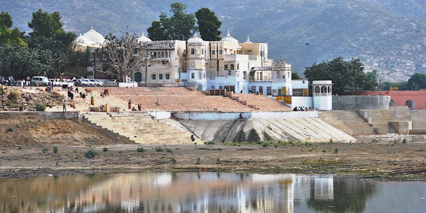 Padam Lake is Ranthambore’s largest habitat for tigers, deer, and birds.
