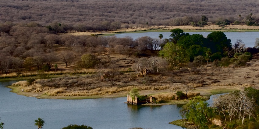 Padam Talao, a large water reservoir with surrounding greenery, is the best place near Ranthambore National Park.