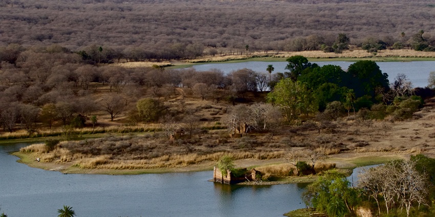 Stunning view of Padam Talao lake from Ranthambore Fort, showcasing serene waters