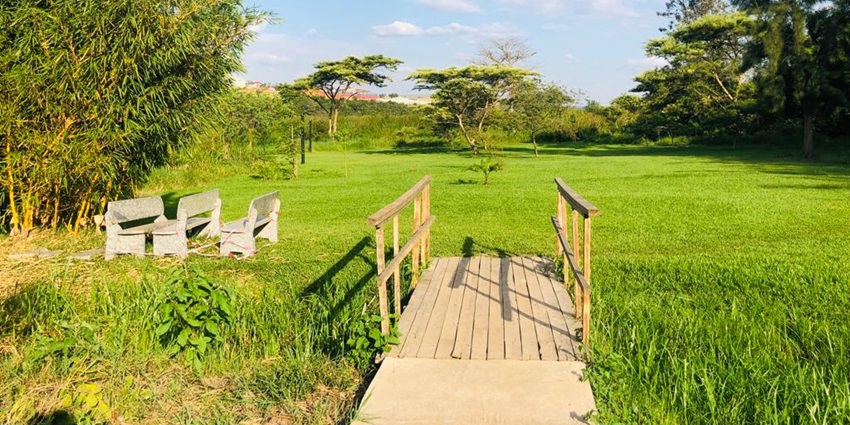 Serene landscape with lush greenery and dramatic clouds under a bright, open sky.