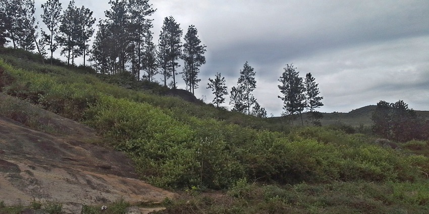Paderu is fairly underrated and one of the best attractions near the coastal city in A.P.