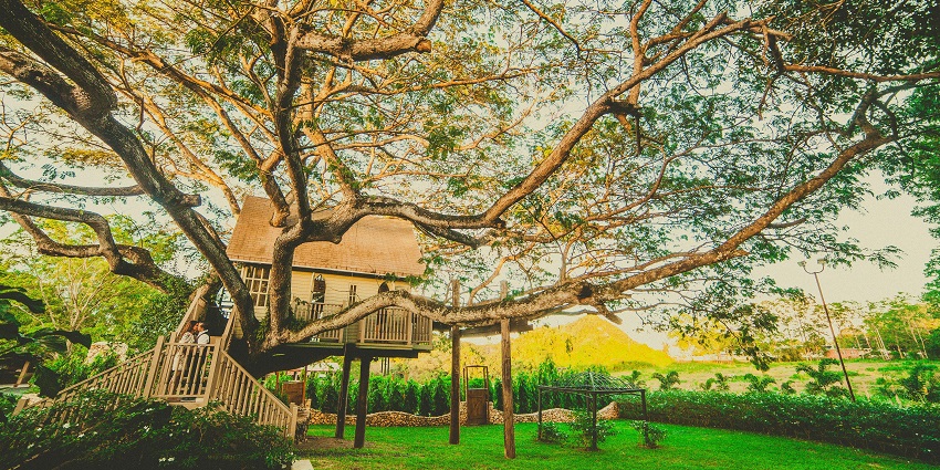 A picture of a garden in Araku, one of the best places to visit in Andhra Pradesh, with greenery and trees
