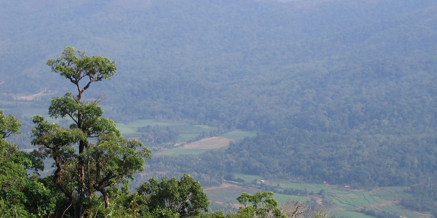 Trek to Pakshipathalam among the Western Ghats with a diverse range of flora