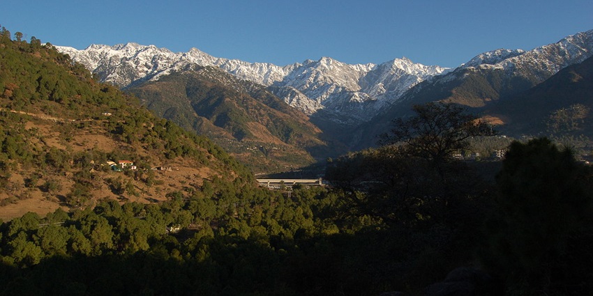 A stunning view of the Himalayas from Palampur, one of the best hill stations near Mohali