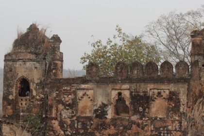 View of the Palamu fort's terrace, surrounded by lush tall trees