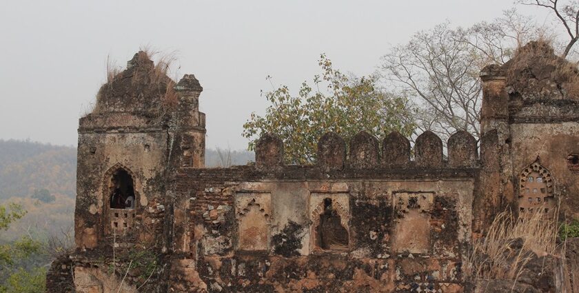 View of the Palamu fort's terrace, surrounded by lush tall trees