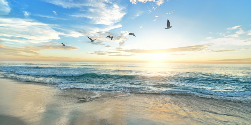 Palavakkam is a place where you can have a laid-back and relaxing experience.