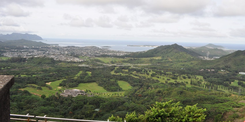 Pali Hill in Bandra features greenery, celebrity homes, and dining