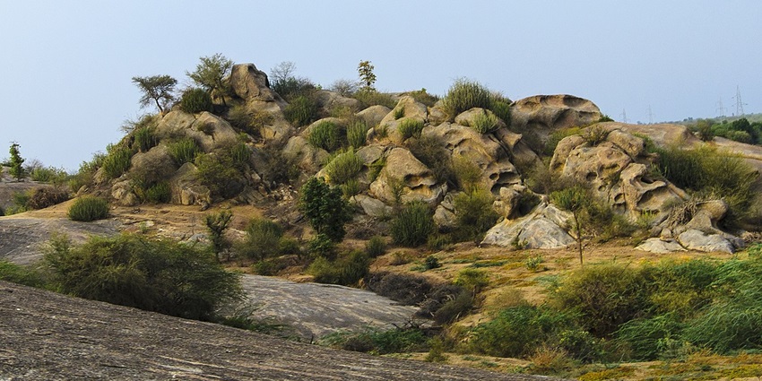 Explore the fierce leopards in their natural rocky habitat at Jawai, Pali district.