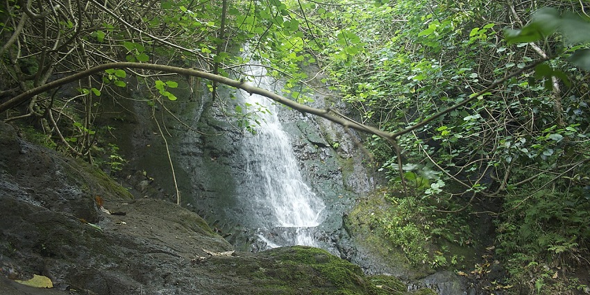 The end of the trek takes you to this beautiful and picturesque waterfall.