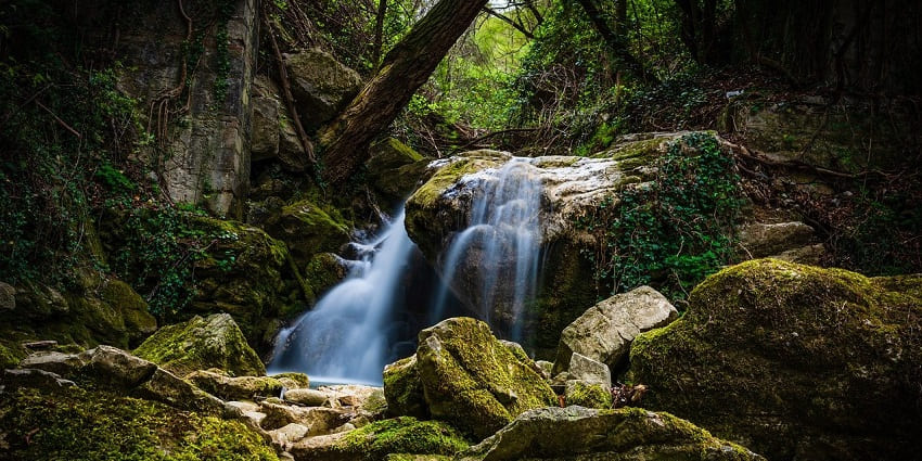 Image of a waterfall surrounded by dense forest and water cascading through rocks