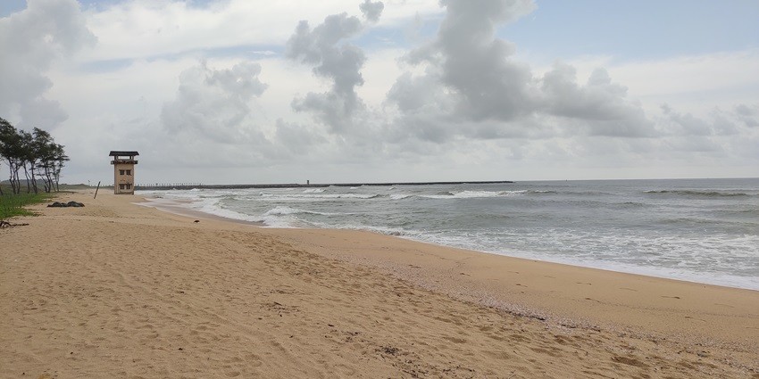 Panambur Beach, with palm trees lining the shoreline, one of the top beaches near Coorg