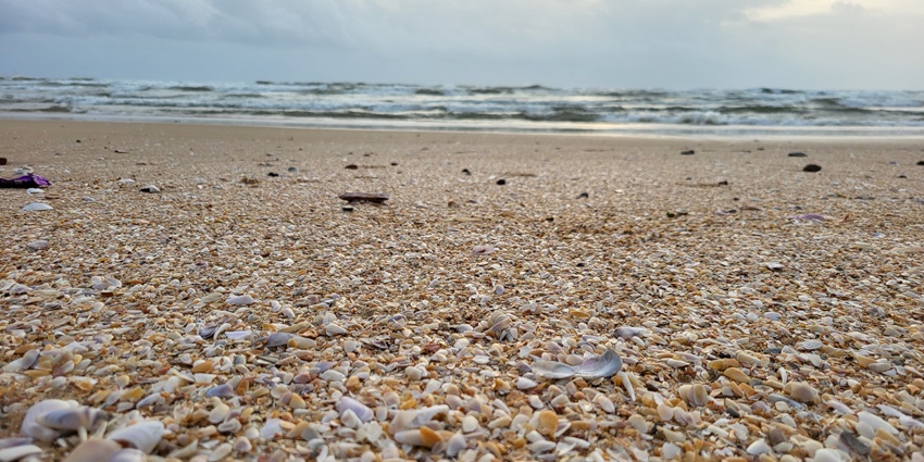 Panambur Beach is one of the most popular beaches near Mysore.