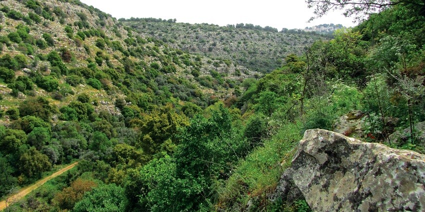A glimpse of majestic green-capped peaks decked with dense forests and rocky terrains.