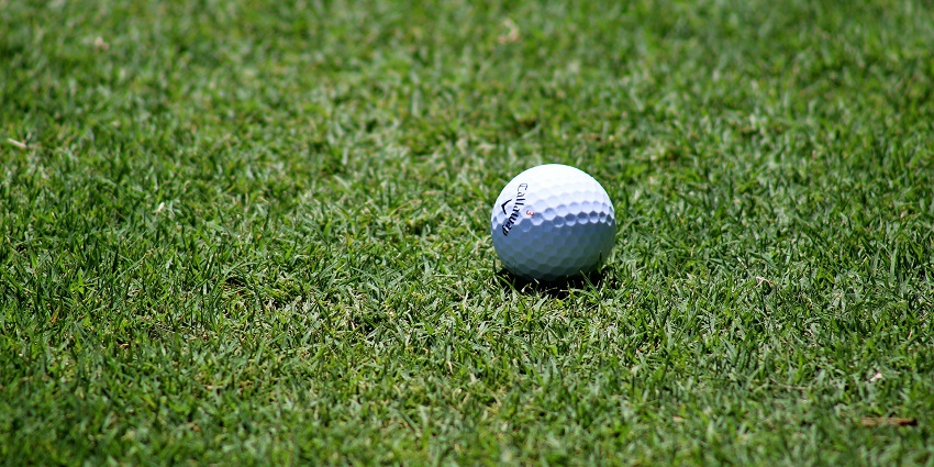 A picture of a golf ball placed on the golf turf at the Panchkula Golf Club