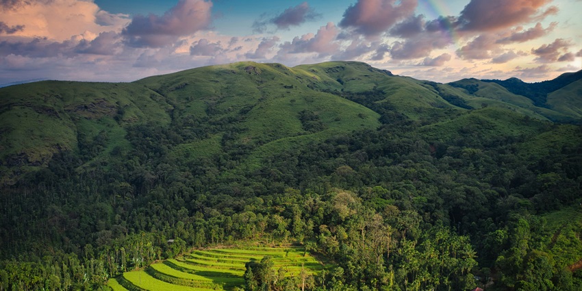 A glimpse of the Pandavar Gudda featuring lush green vegetation and dense forests.