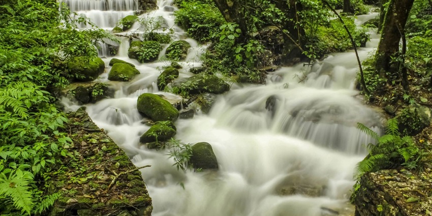 A picture of a scenic waterfall near the Deesa region of Gujarat, surrounded by lush greenery
