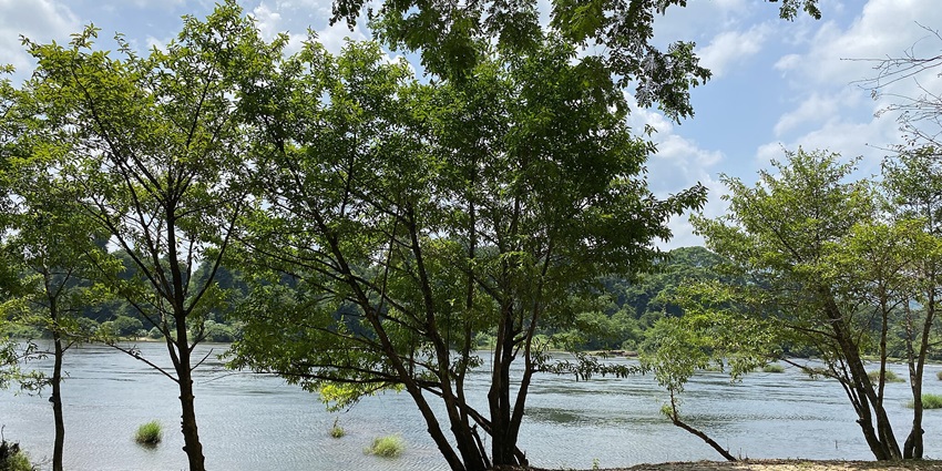 Paniyeli Poru is one of the most amazing places to visit around Thuravoor Temple.