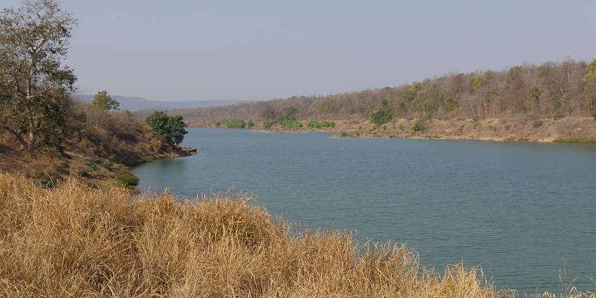 A serene landscape of Panna Tiger Reserve in India, featuring a vast open grassland with scattered trees under a clear sky.