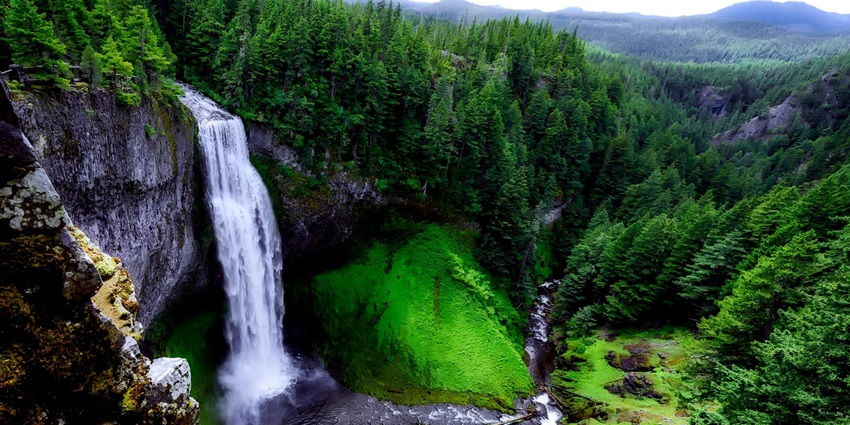 Papavinasam Theertham is a sacred waterfall amidst the dense forests of the region.