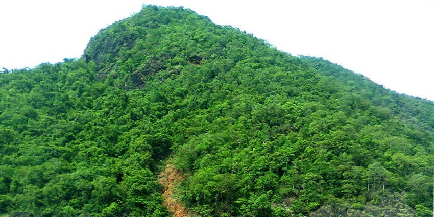 Papi is one of the best attractions offering adventurous activities like trekking and more.