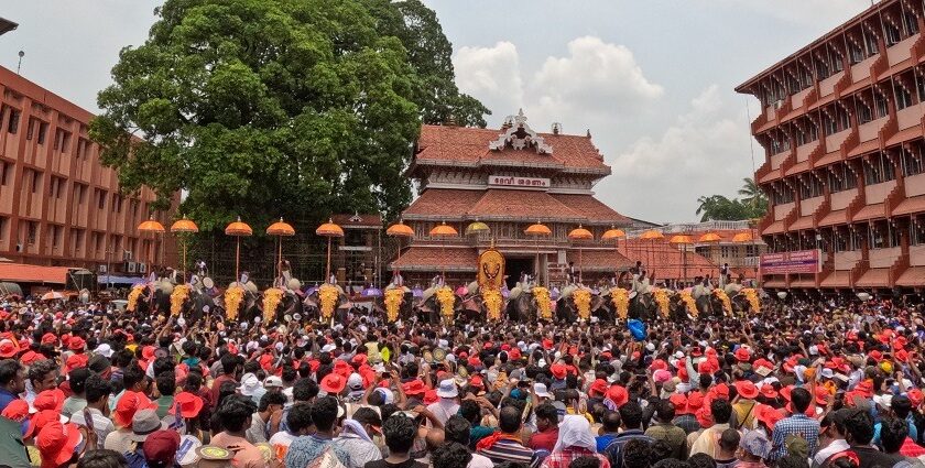 Elephants in front of a huge crowd at Paramekkavu Temple during the Pooram festival.