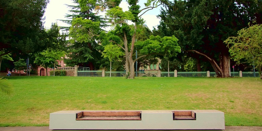 A solitary bench surrounded by lush greenery in a tranquil park setting.