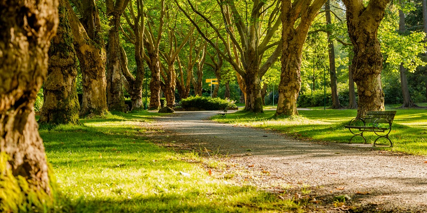 Image of empty park with green lawns and scattered trees under a bright daytime sky.