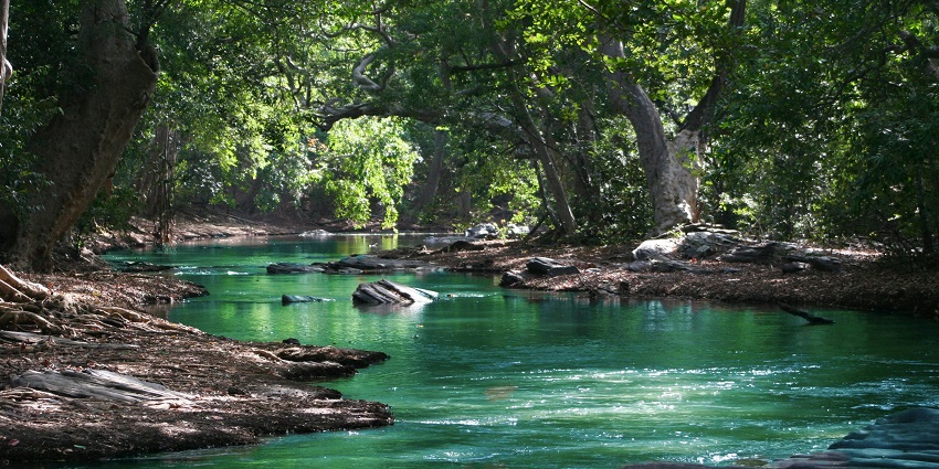 A serene view of the famous Parvan River that offers relaxation and scenic views.