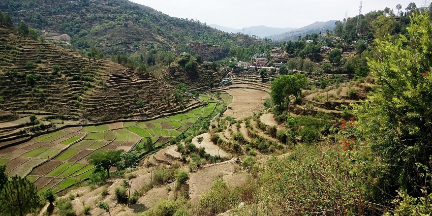 Pahtliar Hills, one of the must-visit places near Kutlehar Fort in the Hamirpur district