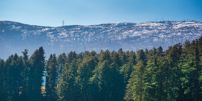 Image of a view of a mountain with trees in the foreground - One of the best hill stations near Patnitop