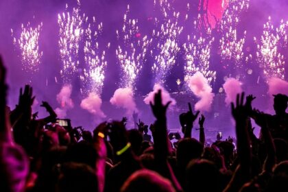 An image showing the crowd enjoying fireworks and different tunes of music.