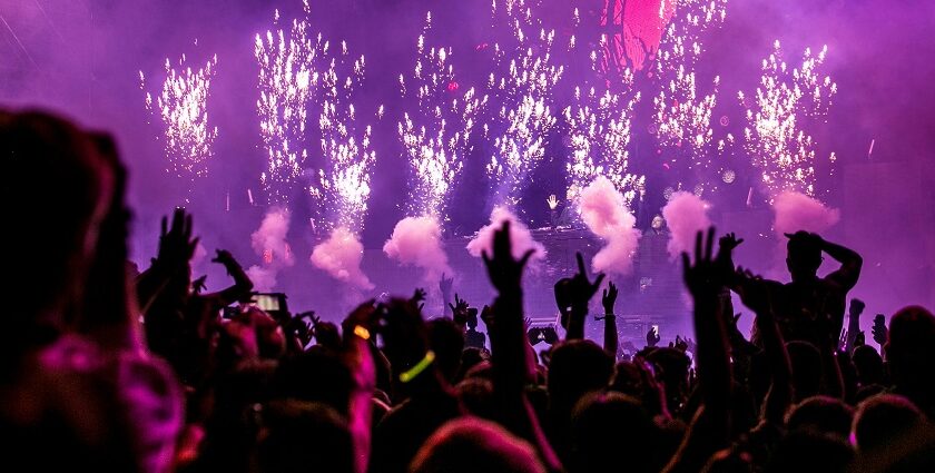 An image showing the crowd enjoying fireworks and different tunes of music.