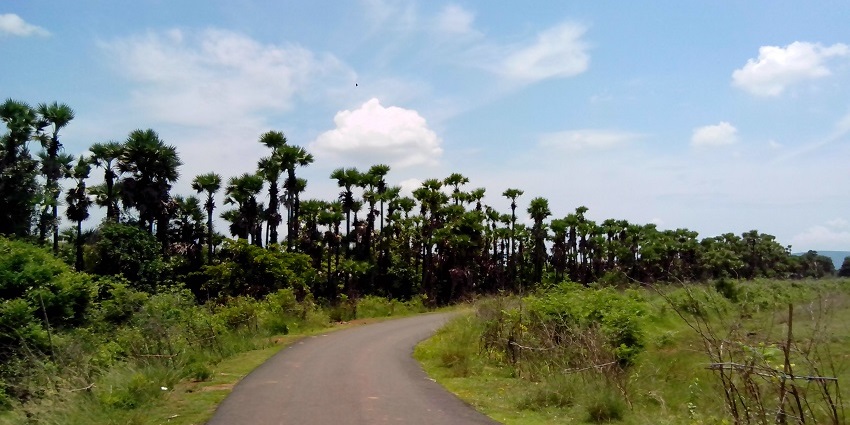 Pedaganjam village is one of the best attraction to see near Coringa wildlife sanctuary to experience local life