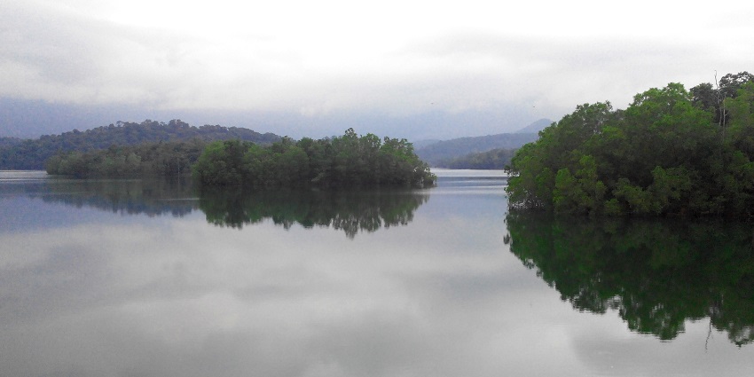 A picture of a vast water body located near the Agasthyarkoodam trekking trails