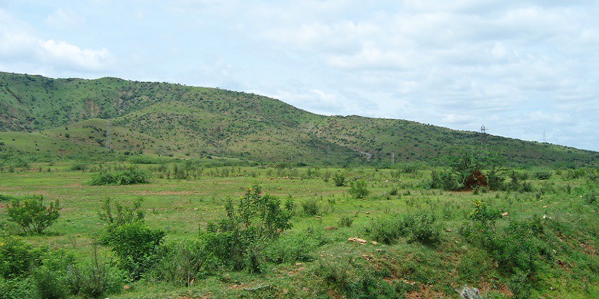 Picturesque view of the lush green landscapes of Perala, a must visit tourist place in Chirala