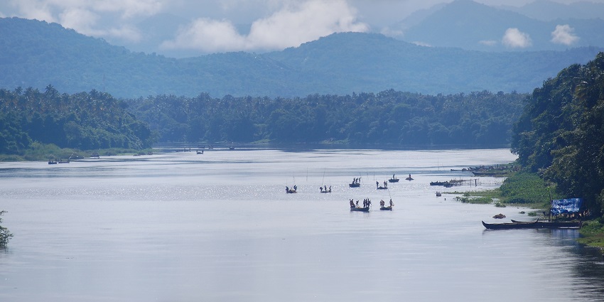 Kayaking in Periyar River takes you through the hanging bridge and the untouched beauty of Kerala
