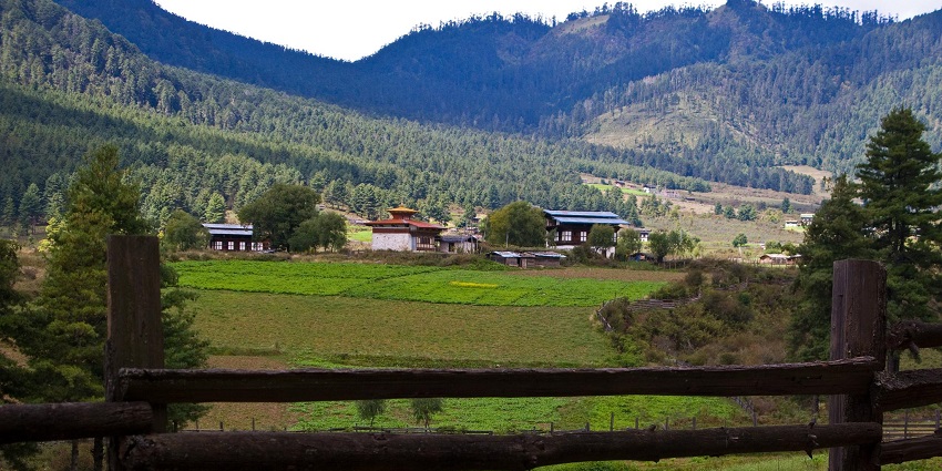An image of Phobjikha Valley’s expansive view which is an ideal picnic destination.