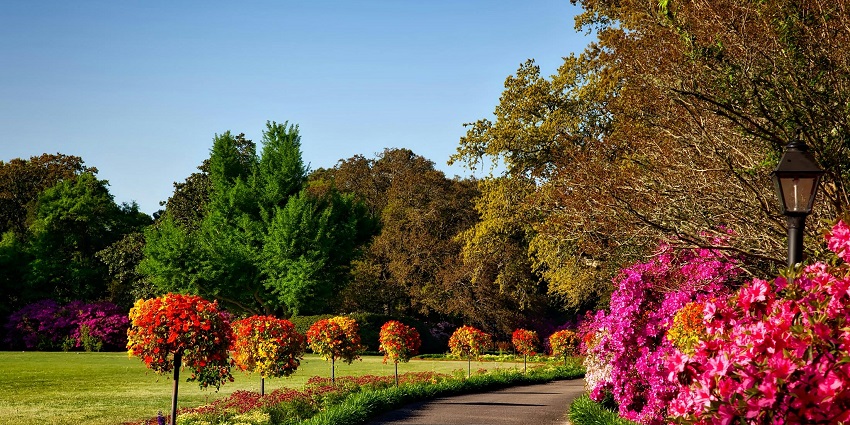 A view of beautiful garden, the Phool Bagh, one of the most beautiful places to visit in Orchha.