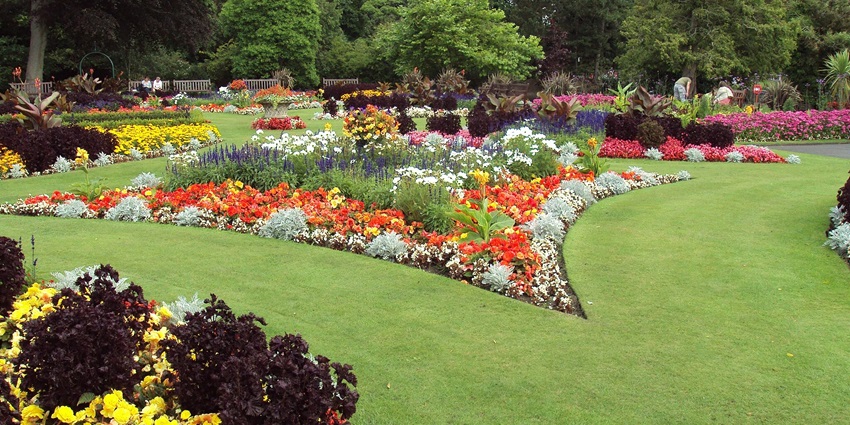 Vibrant flower beds representing the rich flora around Orchha Wildlife Sanctuary