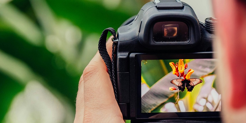 Photography is one of the best things to do while taking Kondapalli Trekking for all.
