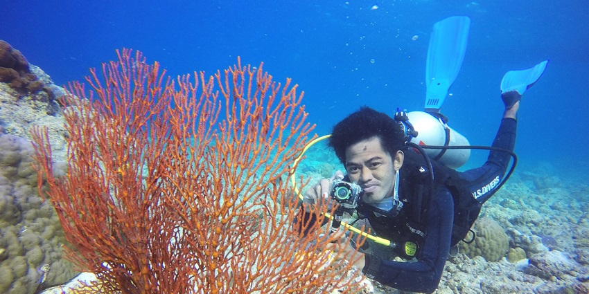 You can try photography during Scuba Diving Malaysia in the Perhentian Islands.