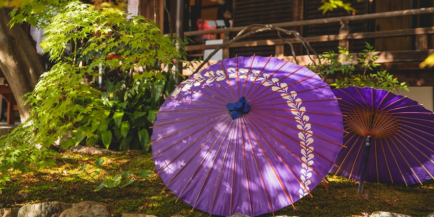 Phu Quoc Pepper Garden enables you to get a look into the beauty of the natural ways the spice is grown.