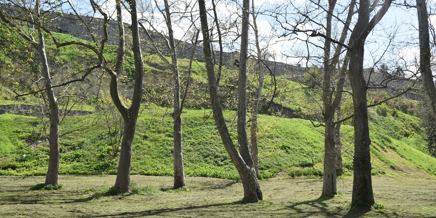 A panoramic view of Phulbani Hills which offers scenic retreats and relaxing moments.